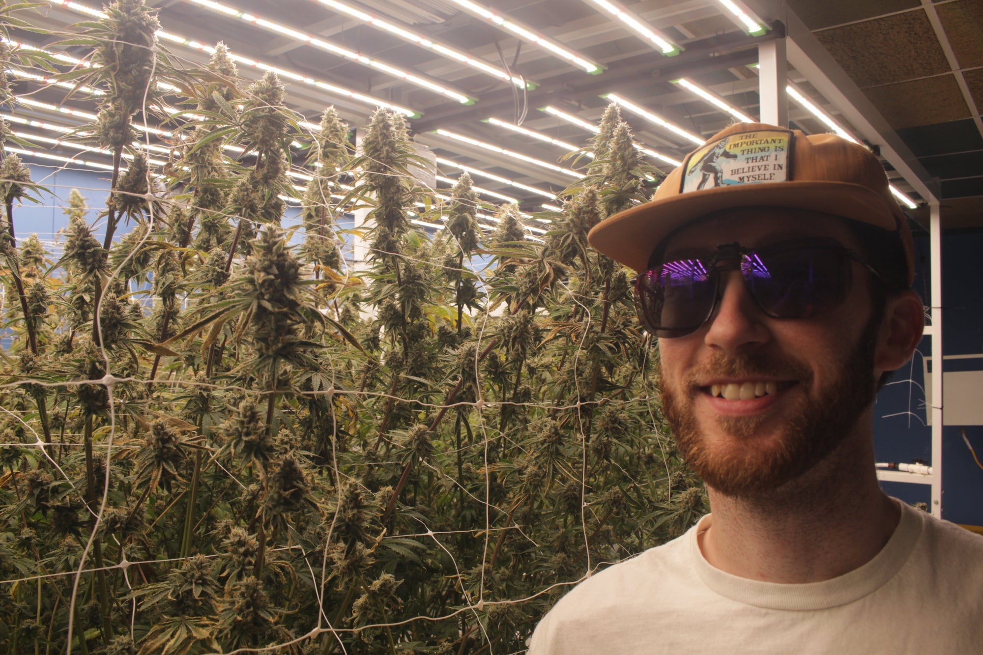 Genotype + Environment = Phenotype 🌱