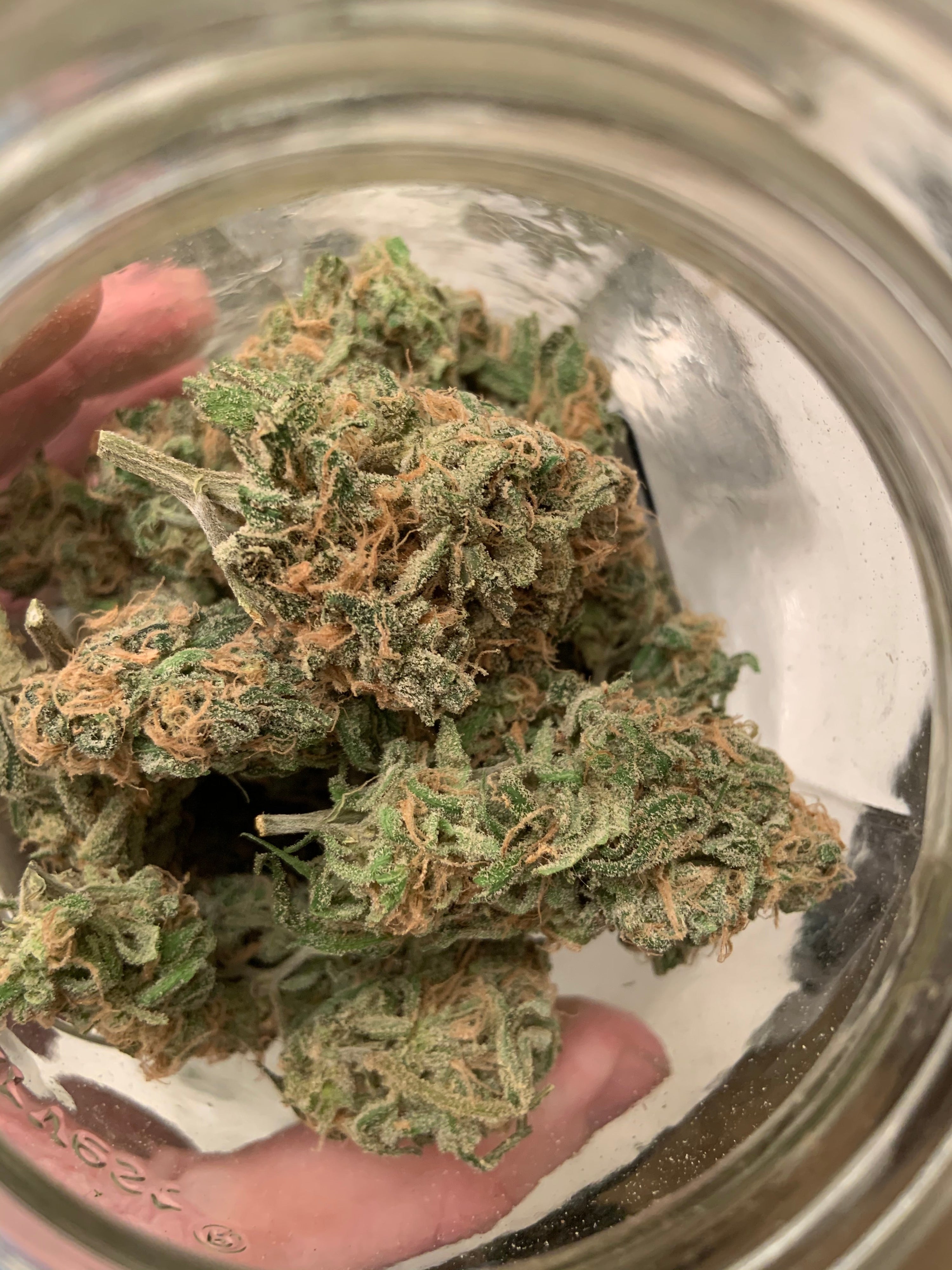candy cannabis strains, sweetest weed strains, candy terpene profiles, fruity weed strains, sweet cannabis genetics
