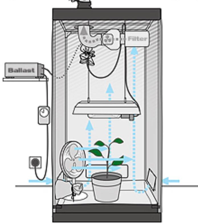 Environment Is Everything!