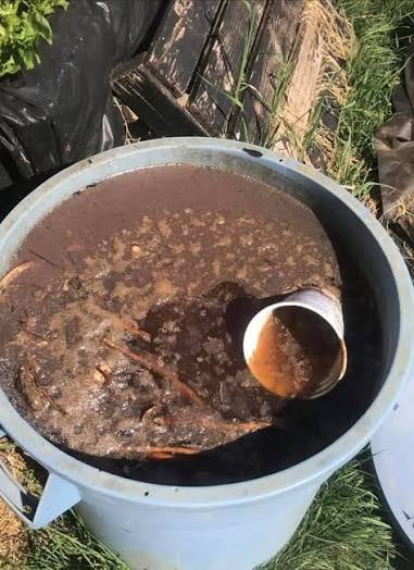 Ferments vs Compost Teas