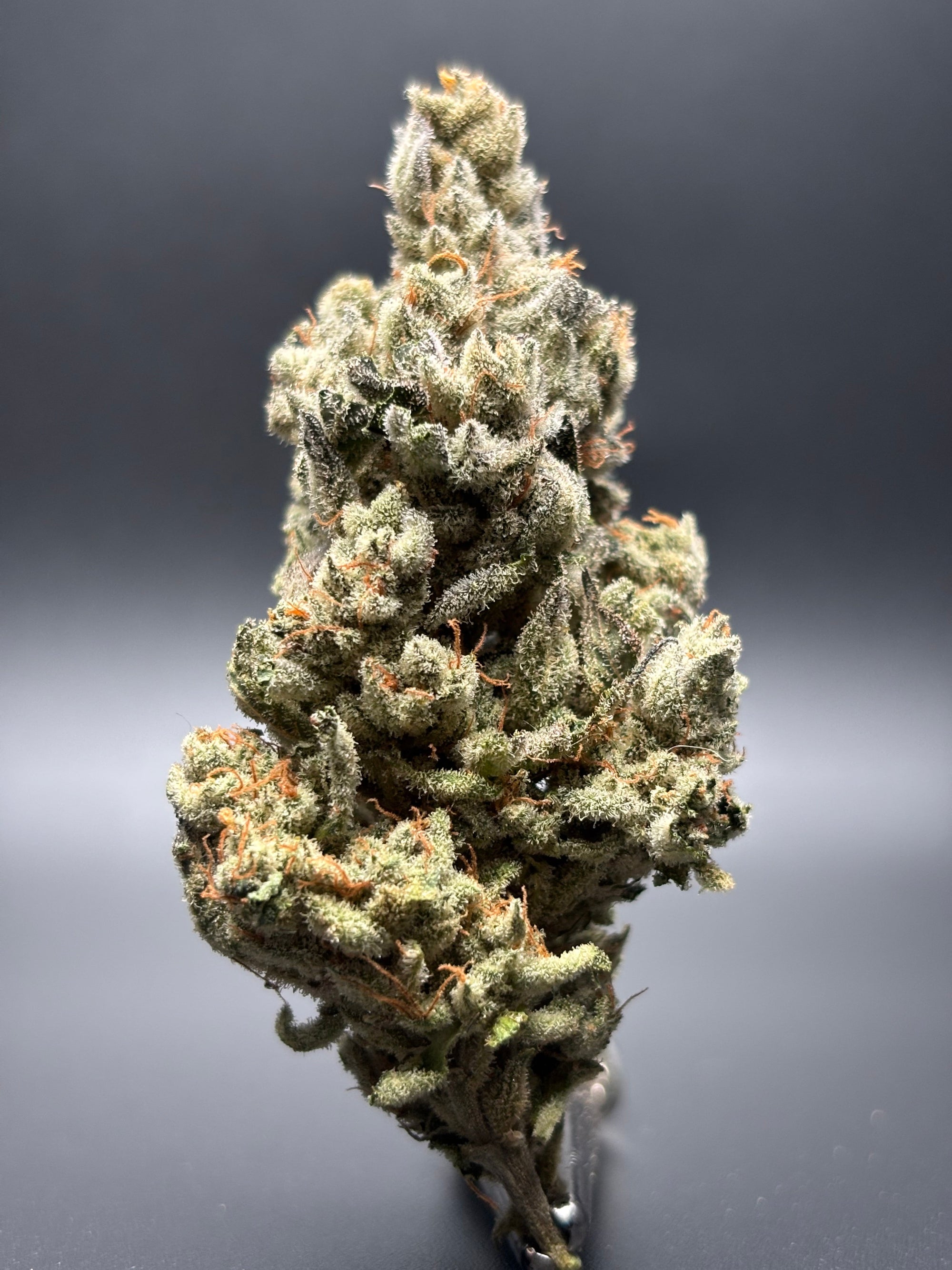 daytime cannabis strains, uplifting weed strains, productive cannabis strains, energetic weed strains, best daytime weed strains