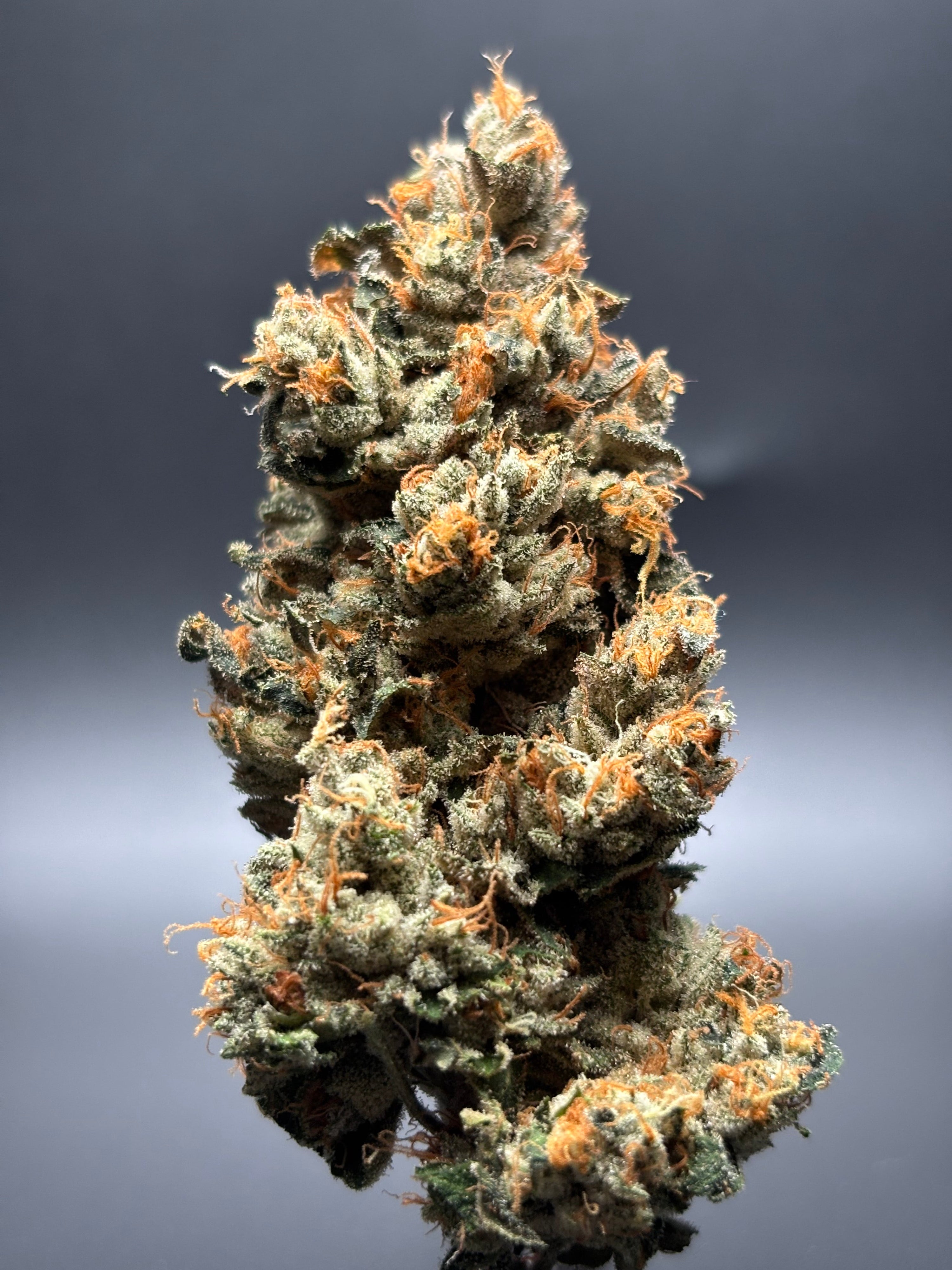 weed for focus, productive cannabis strains, functional weed strains, best weed for productivity, cannabis for concentration