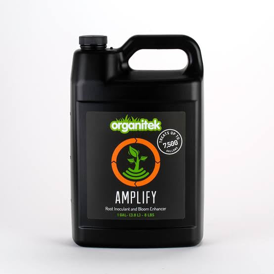 🌱 What Is Synganic Cannabis Cultivation? The Best of Both Worlds Explained