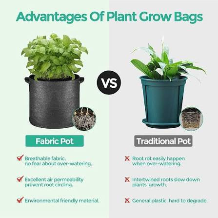 🪴 Best Pots for Growing Cannabis (Fabric vs Plastic vs Air Pots)