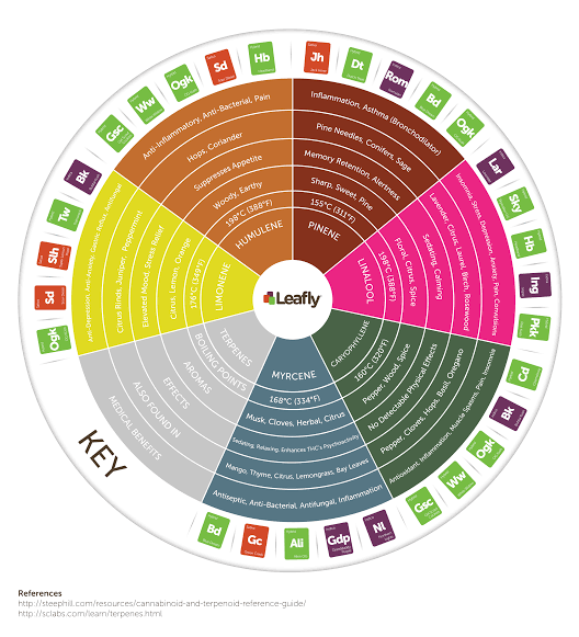 🌱 How to Improve Cannabis Terpenes and Flavor (Advanced Grower Guide)