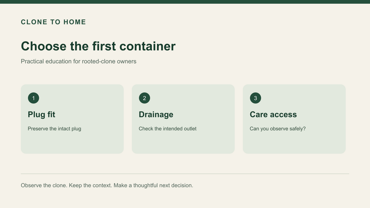 Three-panel choose the first container diagram labeled Plug fit, Drainage, Care access.