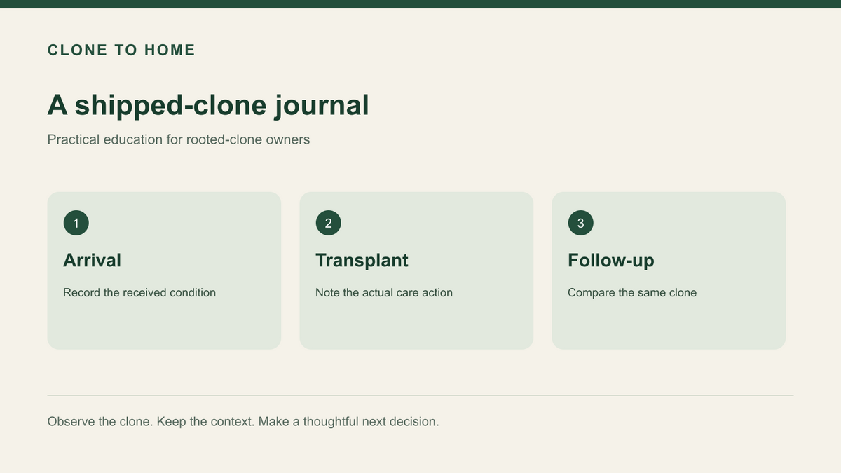 Three-panel a shipped-clone journal diagram labeled Arrival, Transplant, Follow-up.