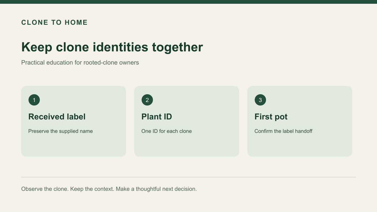 Three-panel keep clone identities together diagram labeled Received label, Plant ID, First pot.