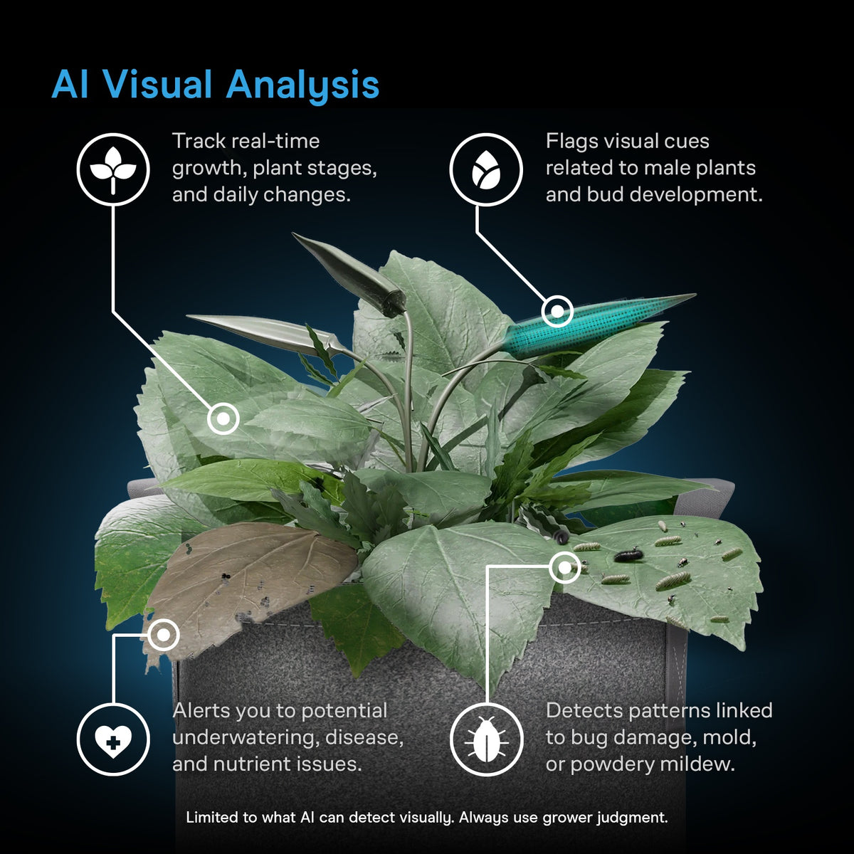 SPECTRON 3, AI-Powered Grow Camera 4K, Advanced Plant Health and Growth Monitoring