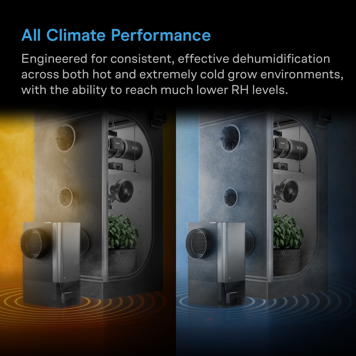 HYDRONE 5, Plant Dehumidifier with 10 Drying Levels, All Climate Performance, for 2-3 Plants