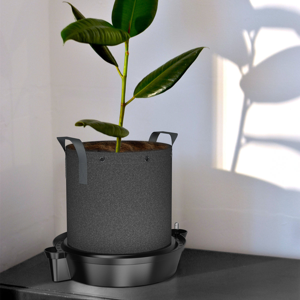 Self-Watering Fabric Pot Base XL, 4-Pack