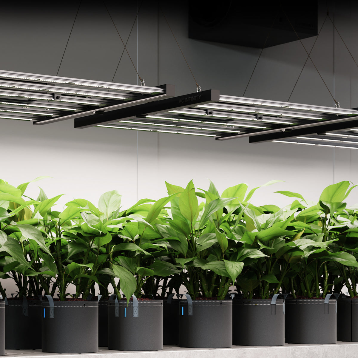 IONFRAME EVO4, Grow Light 300W, Full Spectrum LED 3x3 Coverage
